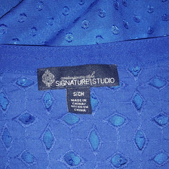 Signature Studio Blouse Womens Small Blue Swiss Dot Eyelet Button Down Top Sheer - Picture 7 of 8